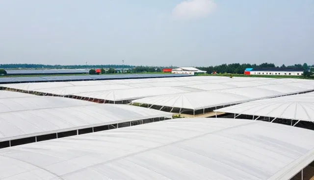 酒泉网站建设,如何避免常见误区与提升效果